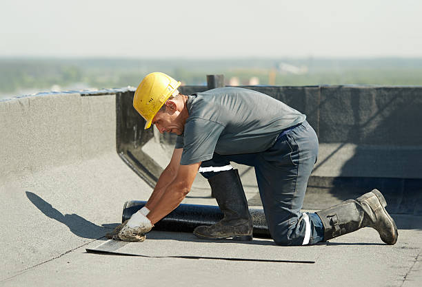 Best Soundproof Insulation Installation  in Holly Springs, MS