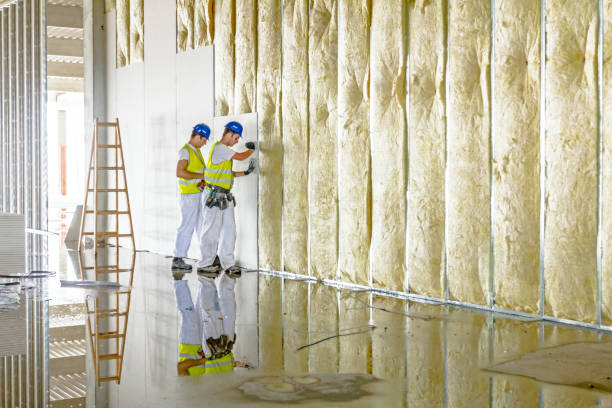 Best Fiberglass Insulation  in Holly Springs, MS